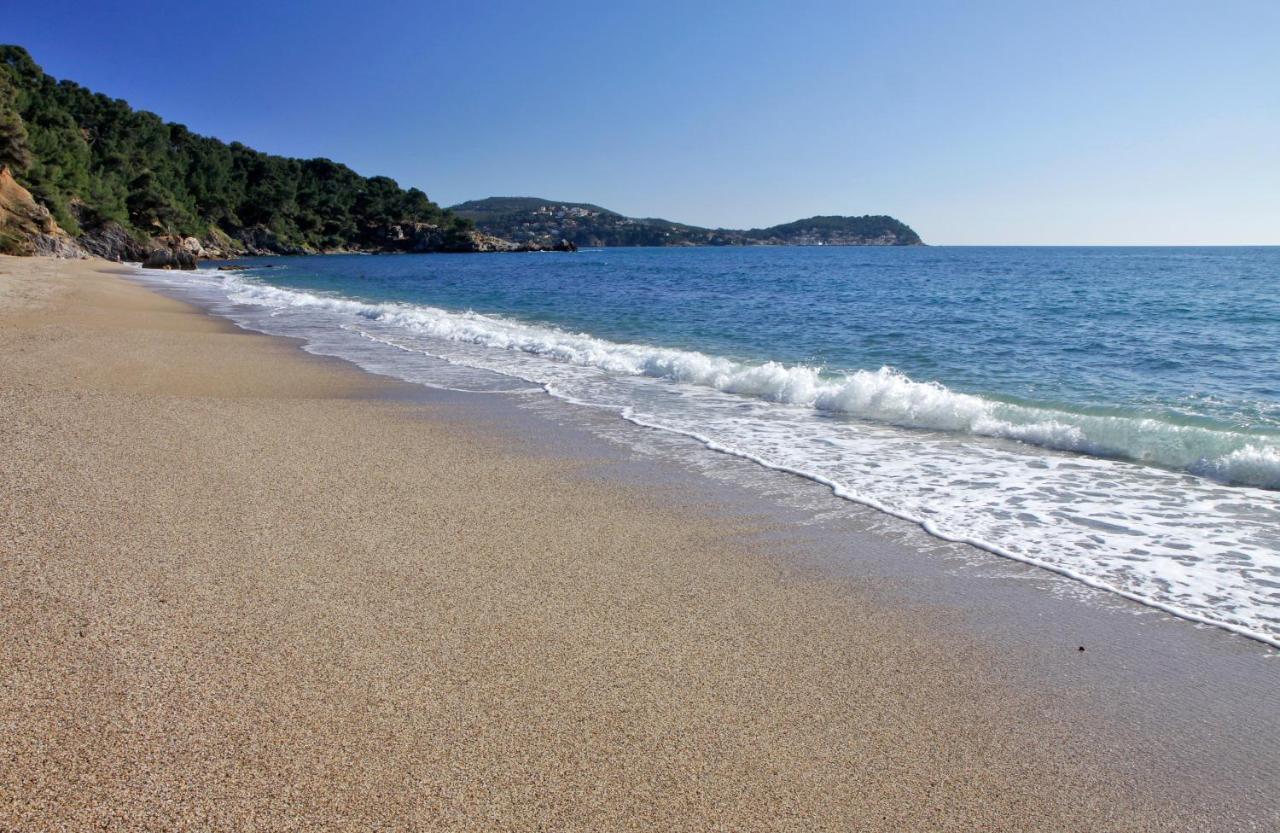 Magnifique Petit Cocon Bord De Mer 乐普拉代 外观 照片